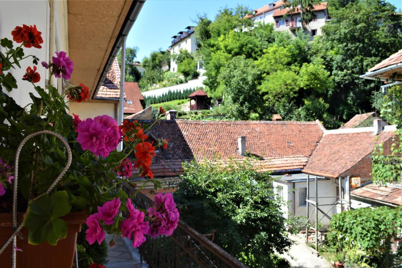 Eco Studio Braşov Buitenkant foto