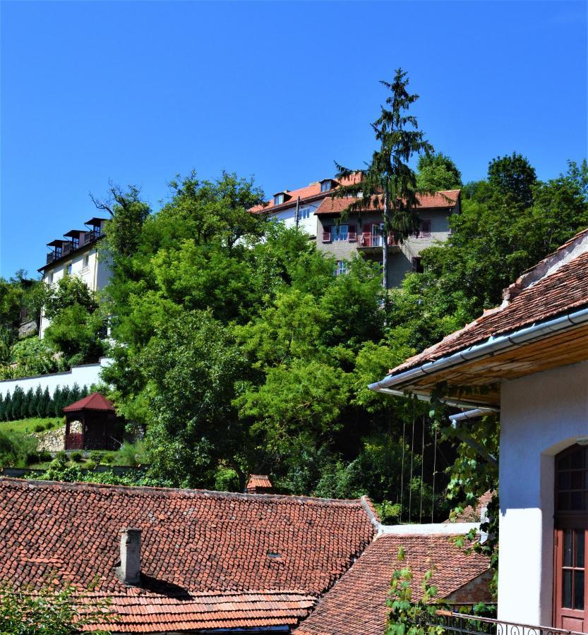 Eco Studio Braşov Buitenkant foto